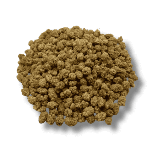 Dried white mulberries natural sweet fruit