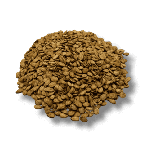 Roasted in-shell melon seeds seasoned with lemon flavor