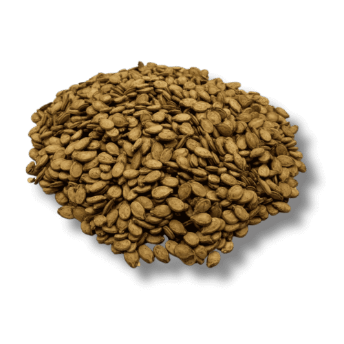 Roasted in-shell melon seeds savory snack