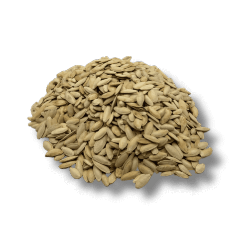 Pile of salted roasted pumpkin seeds snack